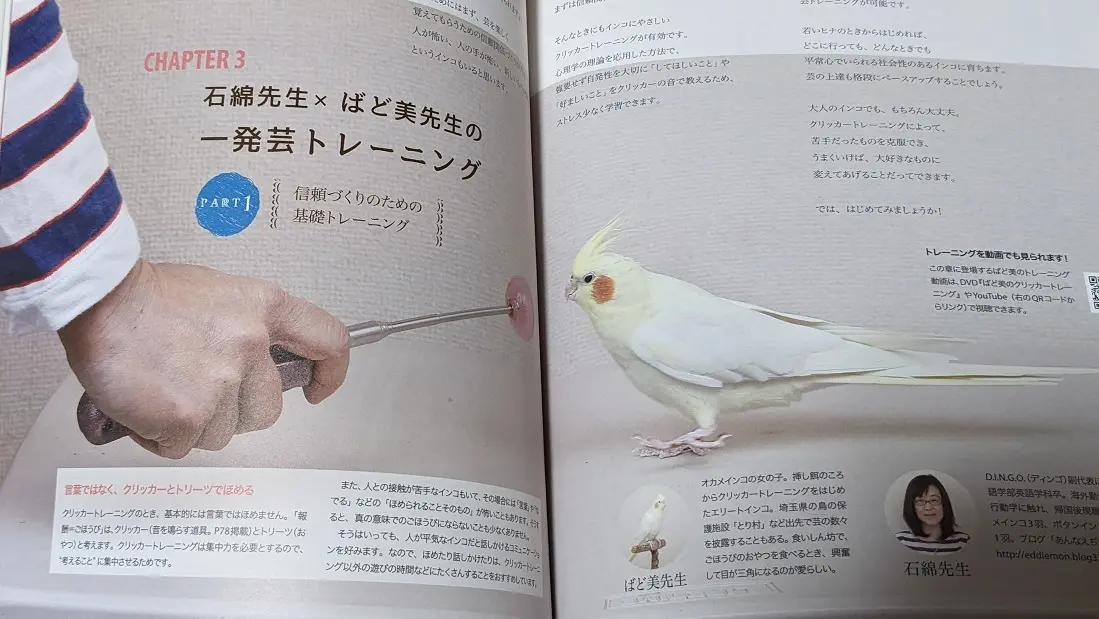 インコのクリッカートレーニング