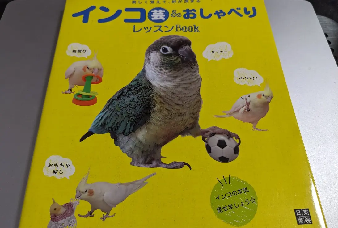 インコのクリッカートレーニング