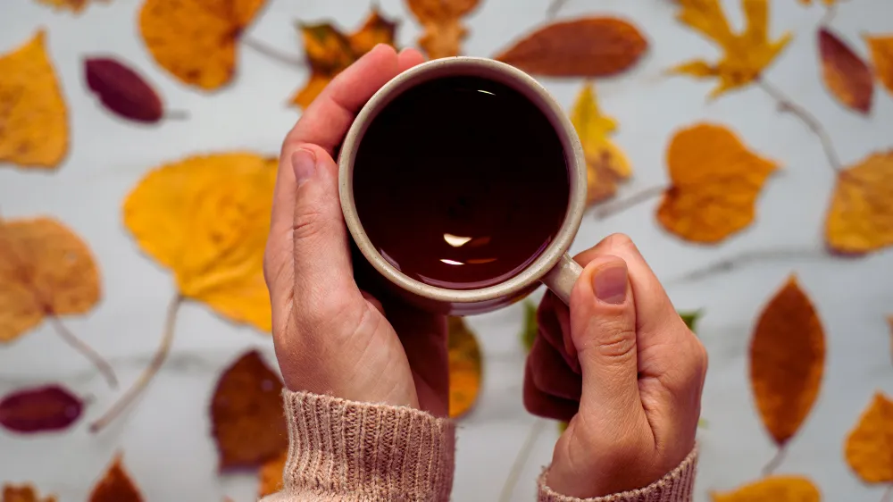 玉ねぎの皮茶の副作用