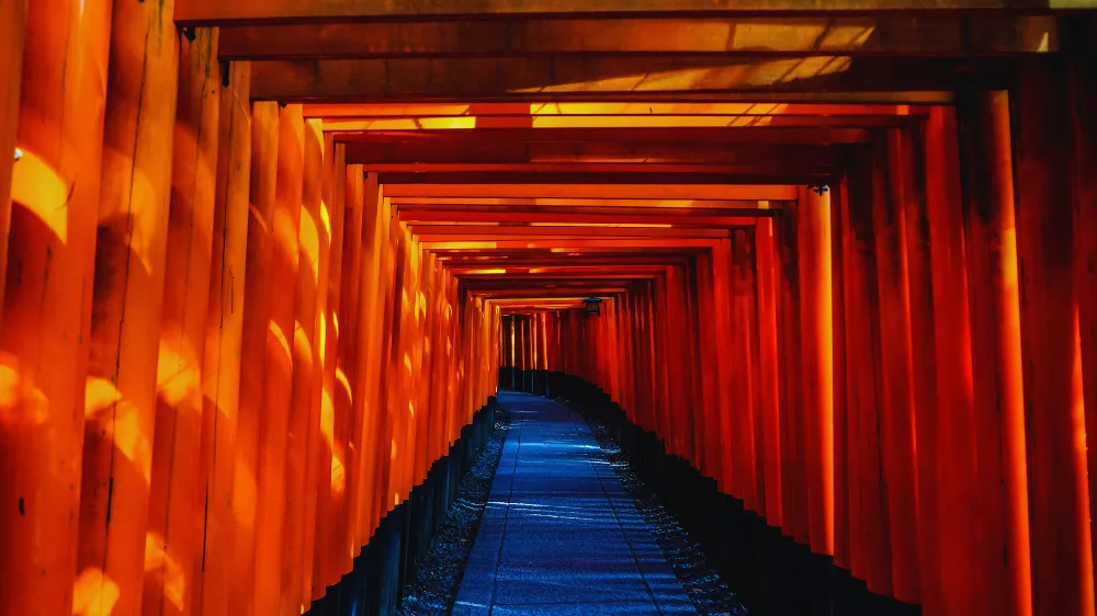 マツコの知らない神社の世界