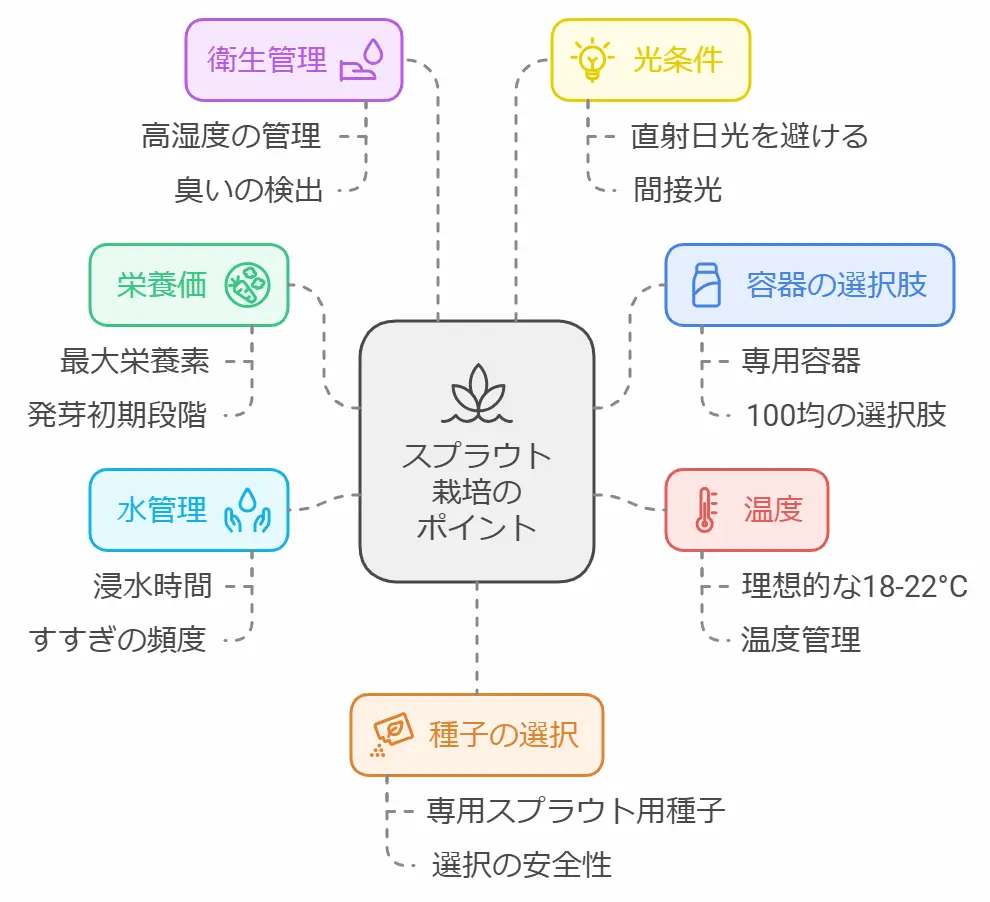 スプラウトの育て方